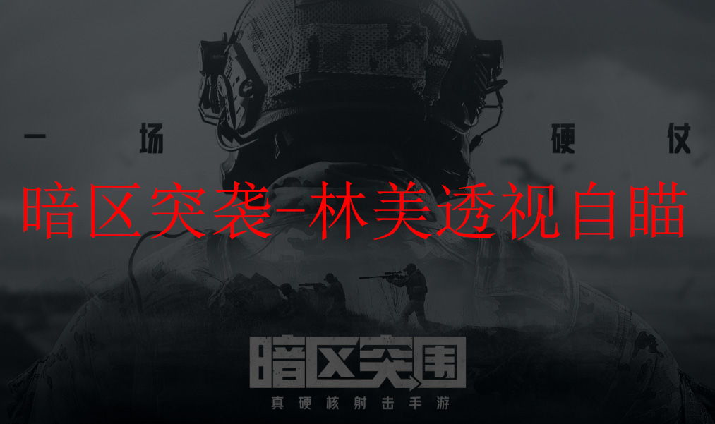 暗区突围-林美透视自瞄