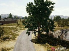 YMX辅助-绝地透视自瞄